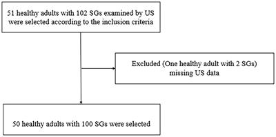 Visualizing stellate ganglion with US imaging for guided SGB treatment: A feasibility study with healthy adults